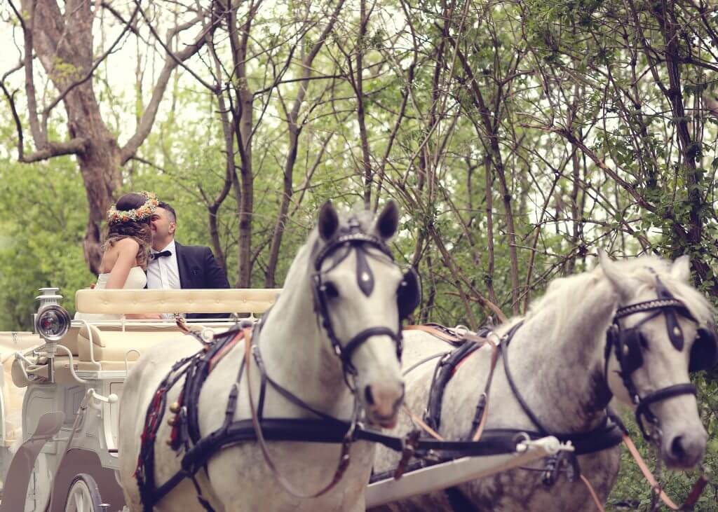 carriage wedding transportation idea