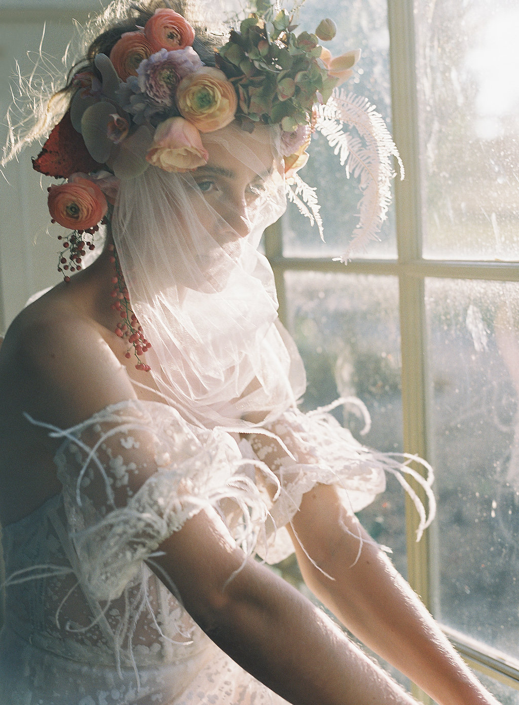 520 lauragordonphotography bellabelle