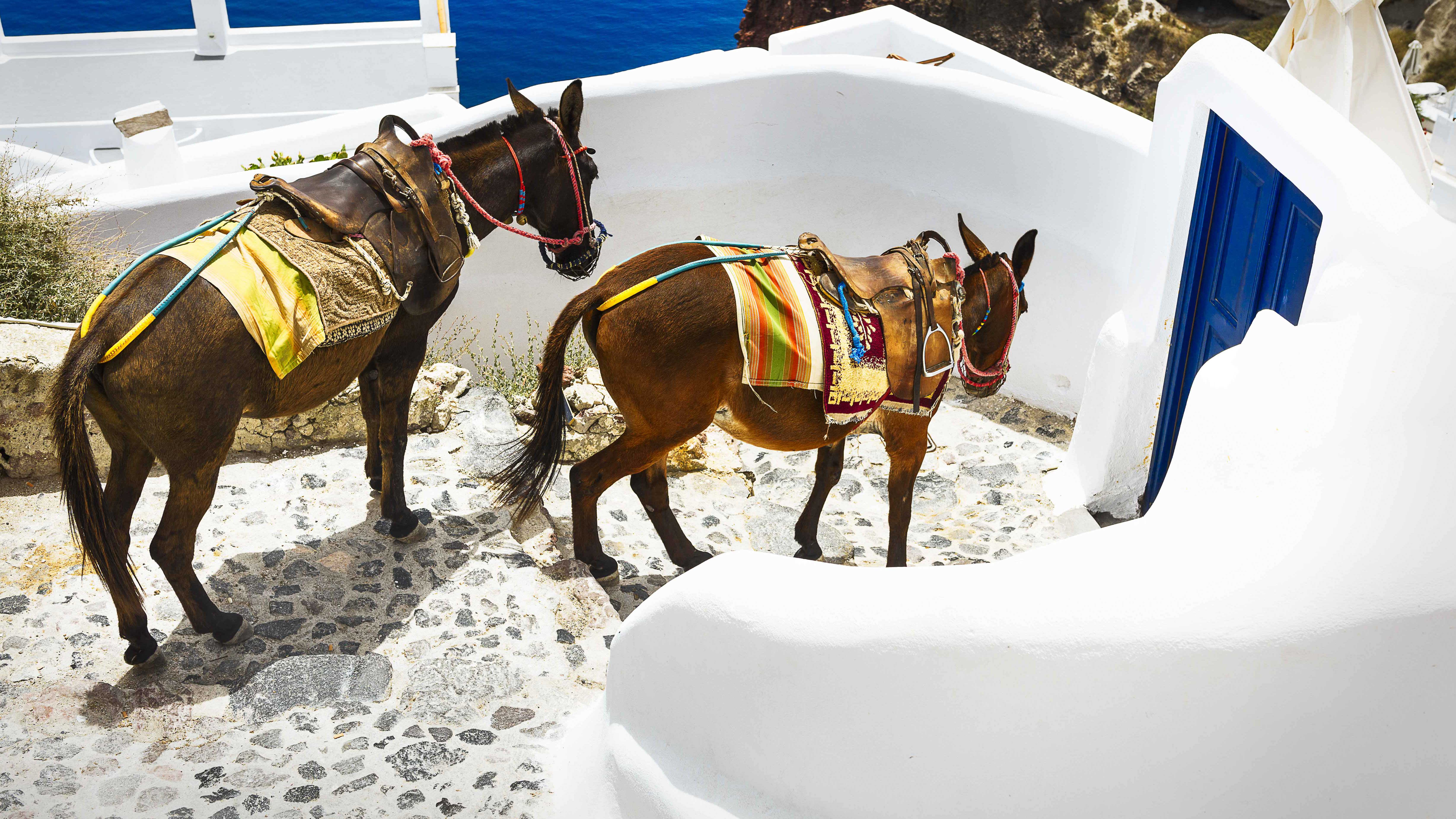 Wedding Planner in Santorini Unique Wedding Transport 91