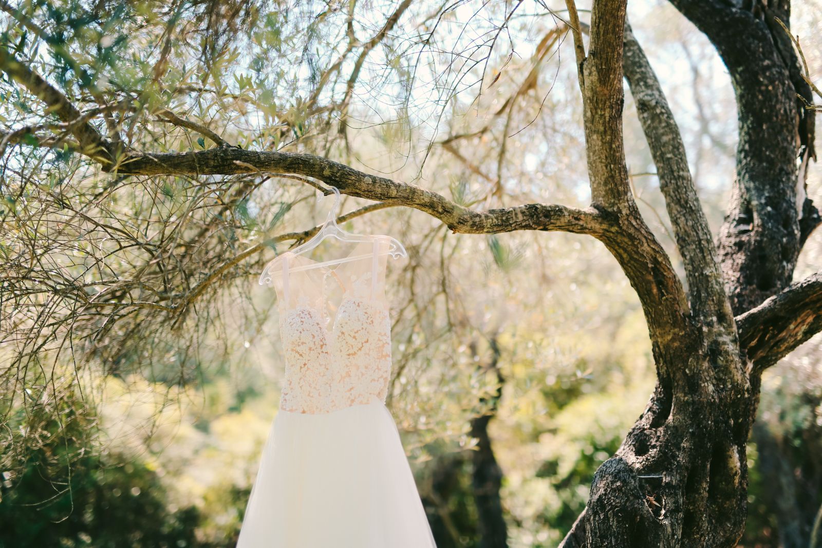 Make Happy Memories Why Greece Gorgeous Groves